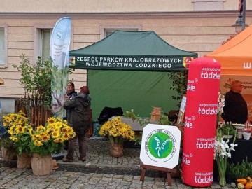 44. Święto Kwiatów, Owoców i Warzyw - w optymistycznym kolorze, 